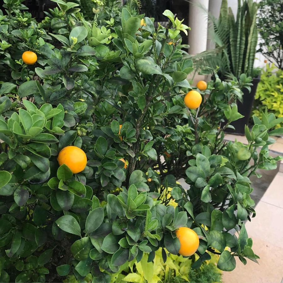 La Dolce Vita Umhlanga Guesthouse دوربان المظهر الخارجي الصورة